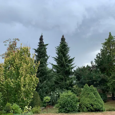 Ferienwohnung Grüne Oase Kottenheim Exterior foto